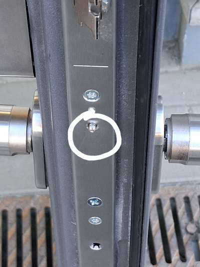 Schwanenhalle Eingangstuer 1