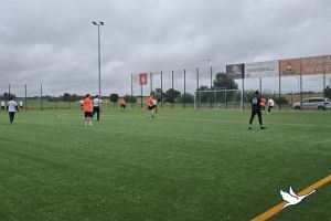 20250712 ergebnis 20250712 ergebnis