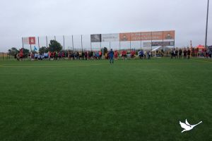 img wa0005 ergebnis img wa0005 ergebnis