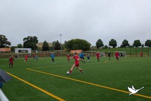 img wa0018 ergebnis img wa0018 ergebnis