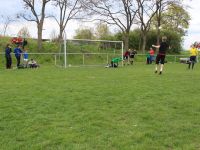 DonGiovanniCup 2016_345 DonGiovanniCup 2016_345